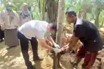 Anjing Liar Gigit Warga di Bireuen, Disnak Aceh Turunkan Tim Lakukan Vaksin