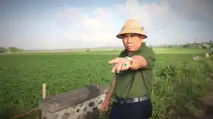 wsvgesbhehernjnj.jpg