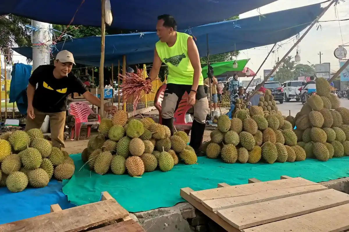Kota Jambi Banjir Durian, Pedagang Klaim Asli dari Kumpeh dan Selat
