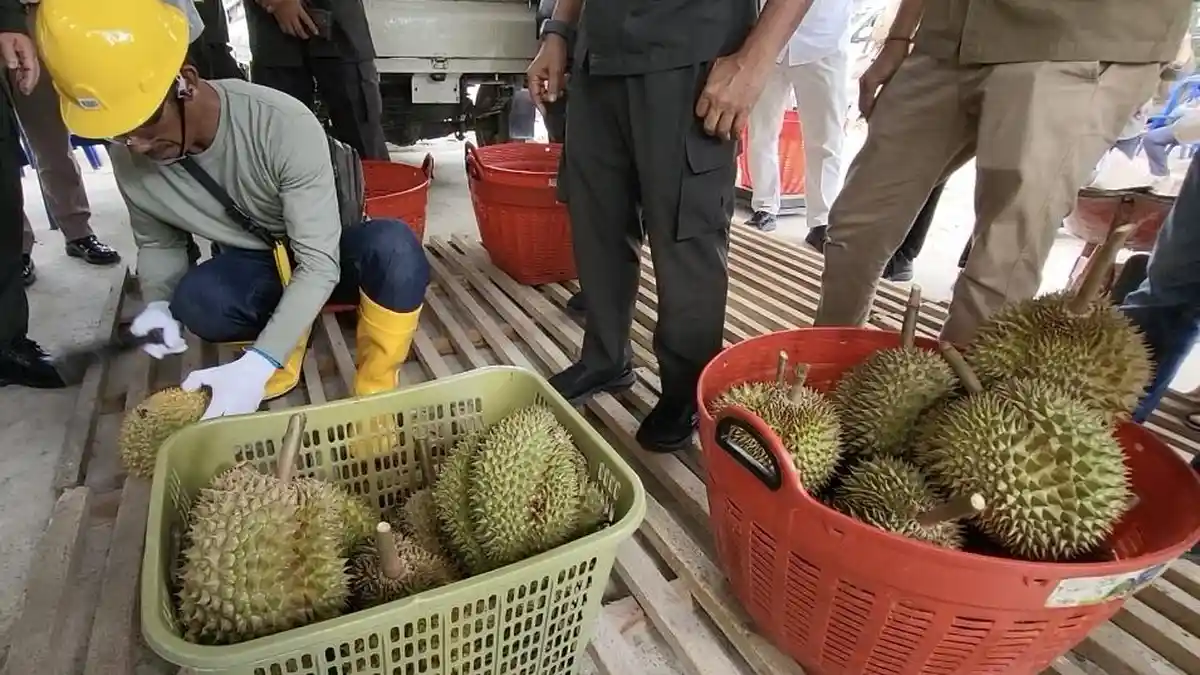 Kadin dan Apdurin Parimo Siap Dampingi Petani Wujudkan Program 100 Ribu Hektare Kebun Durian