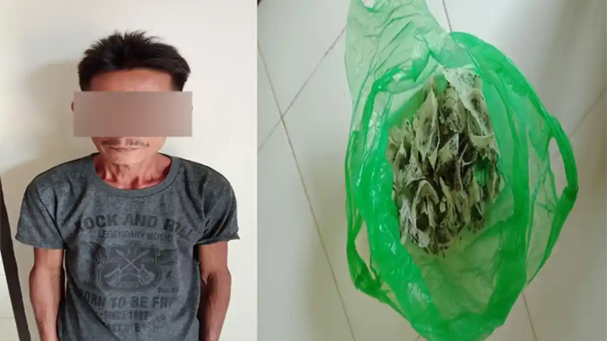 Nekat Curi Sarang Walet, Dua Pria di Sekadau Hulu Ini Diciduk Polisi