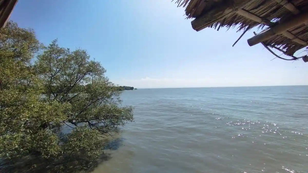 Terbit HGB Seluas 656 Hektare Di Laut, Wilayah Surabaya Atau Sidoarjo? Ini Kata Walikota Dan Bupati