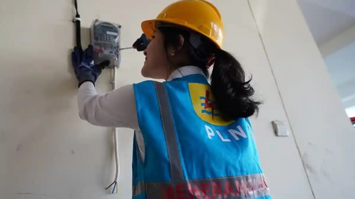 Kabar Baik dari PLN, Tarif Listrik Turun dan Rincian Pelanggan yang Bisa Nikmati