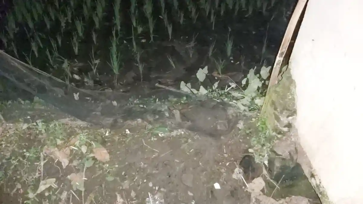 Remaja di Karanganyar Tewas Kesetrum Jebakan Tikus, Sempat Teriak Minta Tolong