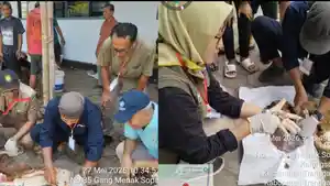 Disnakkan-Trenggalek-temukan-3-sapi-positif-cacing-hati-saat-Idul-Adha-2026-Rabu-2752026.jpg