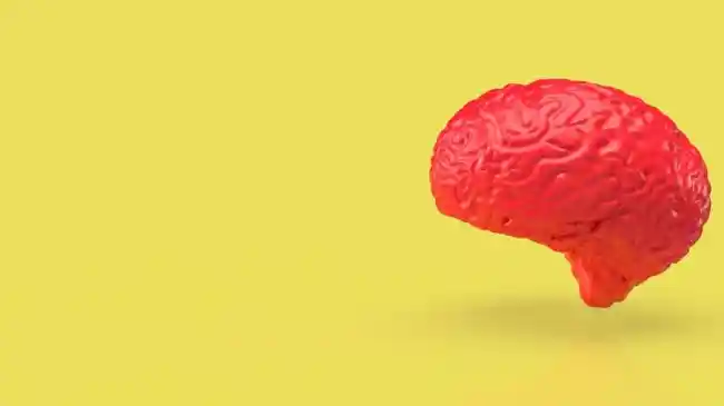 Mengenal Moyamoya, Penyakit Langka Pemicu Stroke di Masa Muda, Usia 3 Tahun Bisa Terserang