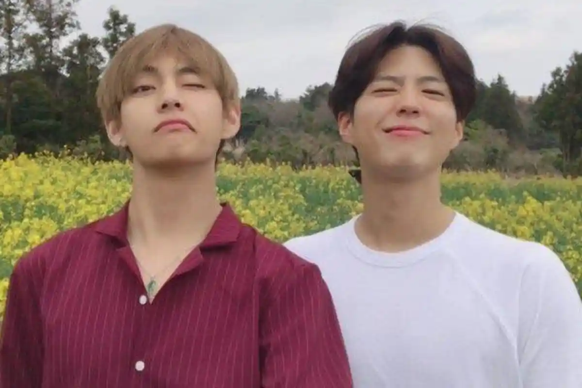 Dukung V BTS Konser Love Yourself di Hong Kong, Sikap Park Bo Gum Jadi Sorotan ARMY