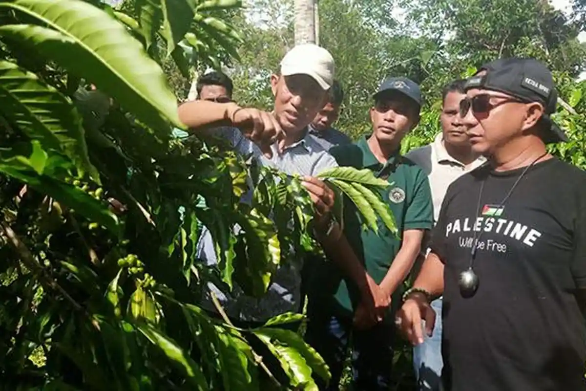 Abdya Dinilai Berpotensi Jadi Blok Kopi Dataran Rendah