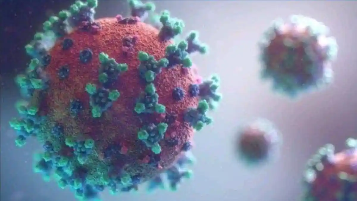 Pandemi Covid-19 Berakhir, WHO Cabut Status Darurat Global