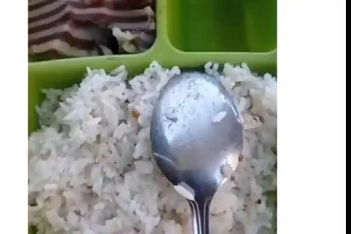 Viral Ngakak Seorang Istri Isi Bekal Suaminya dengan Lauk Kue Lapis
