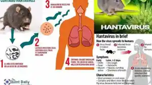 hantavirus-bukan-penyakit-baru.jpg