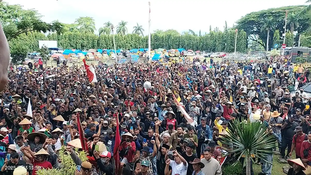 Menteri Pertanian Segera Panggil Perusahaan Tapioka di Lampung Buntut Aksi Demo Ribuan Petani