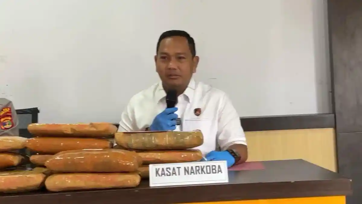 Pengakuan Kurir 24 Kg Ganja yang Ditangkap di Pringsewu - Tribunlampung.co.id