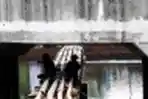Mancing diatas Kabel Tegangan Tinggi