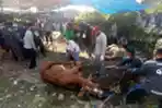 Musholla Nurussaadah Sambut Qurban Idul Adha 1442 H