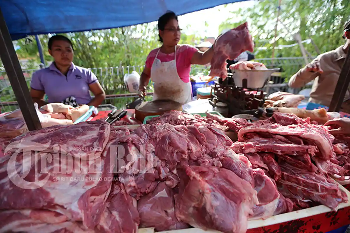 Peternak Babi Di Denpasar Turunkan Harga Sejak Ada Isu Babi Afrika, per Kilo Hanya Rp 23 Ribu