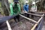 Peringati Hari Bumi, RLU Lestarikan Tanaman Langka
