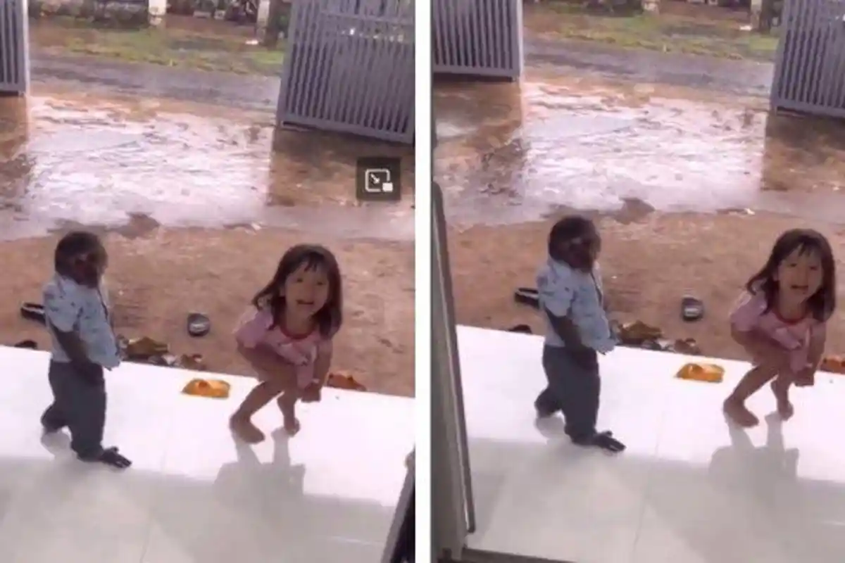 Viral Tingkah Lucu Monyet Jadi Baby Sitter Anak, Warganet: Enggak Bahaya Tah?