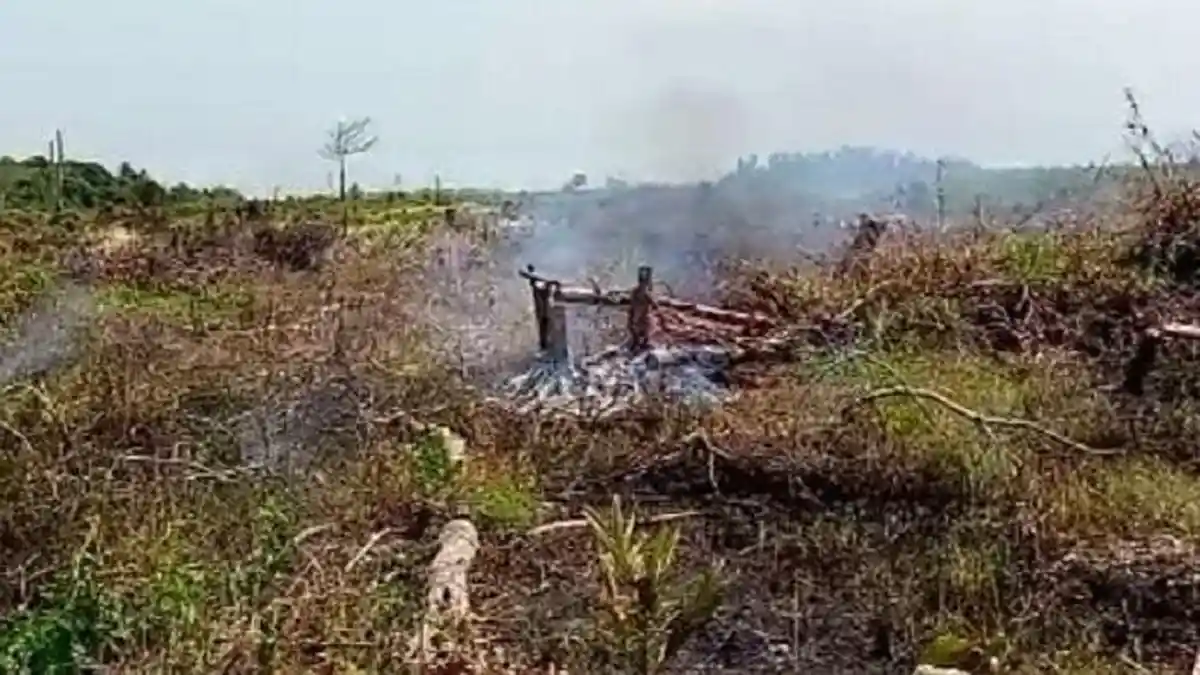 POPULER SUMBAR: Kabut Asap di Bukittinggi, Kebakaran Lahan di Pessel, dan Perampokan di Agam