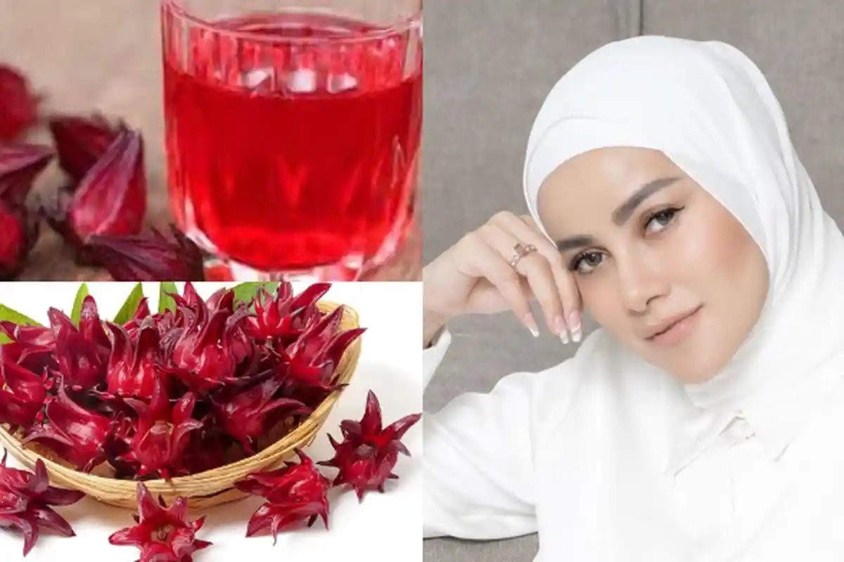 Cara Awet Muda, Semprot Wajahmu dengan Toner Rosela, Dijamin Kerutan Kulitmu Sirna Bak Olla Ramlan