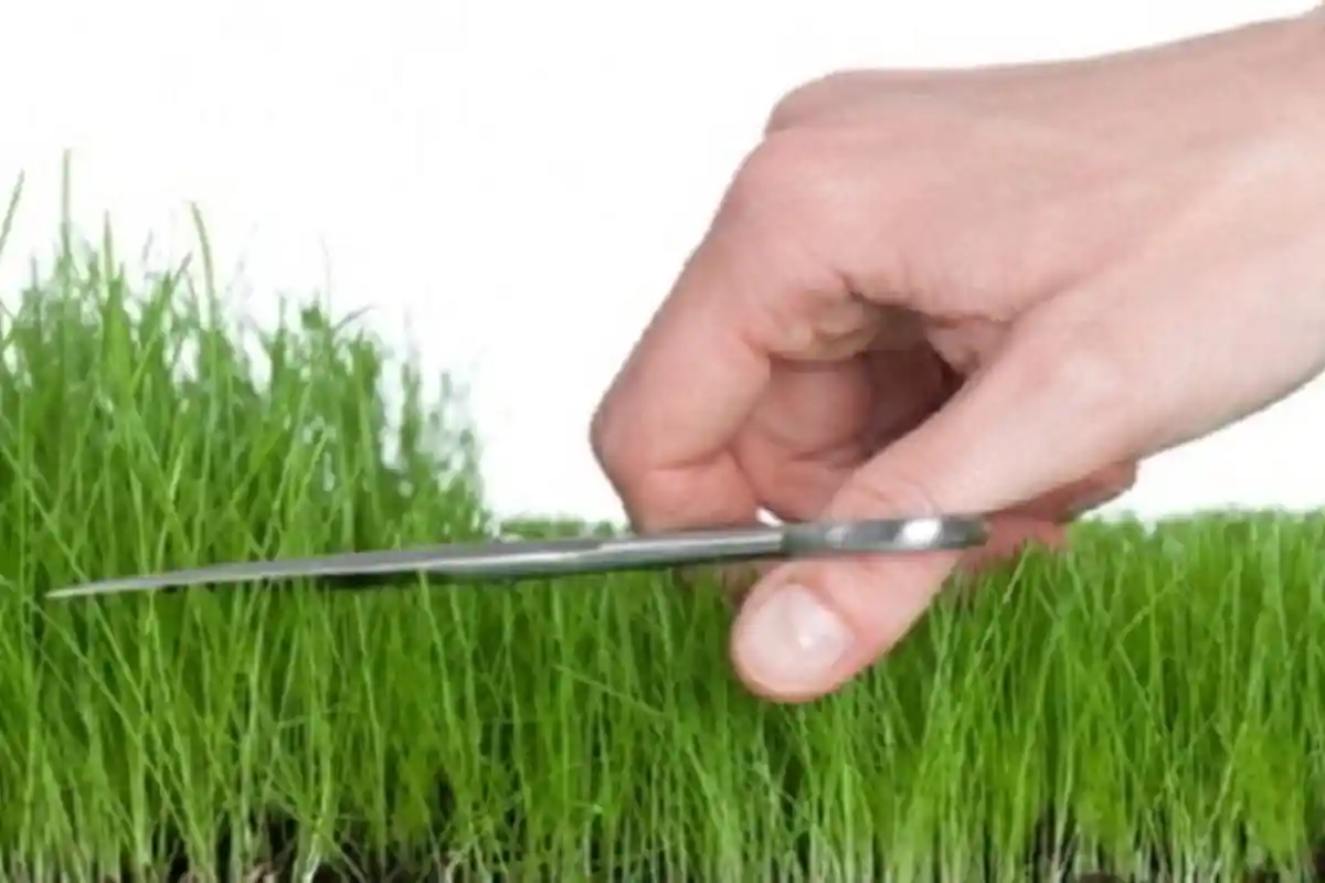 Ladies! Ini TIps Mencukur Bulu Kaki Agar Tak Tumbuh Lagi