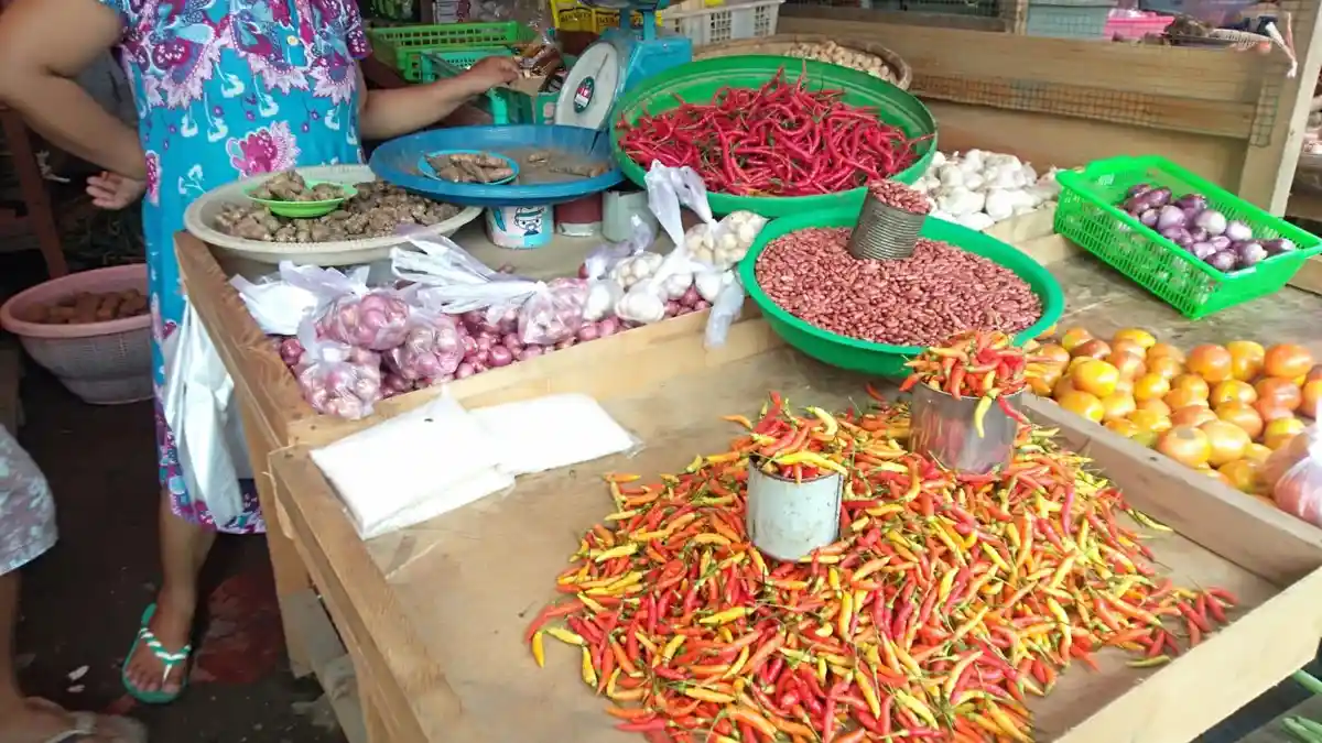 Cuaca Ekstrem, Harga Rica Kembali Naik di Kotamobagu Sulawesi Utara ...