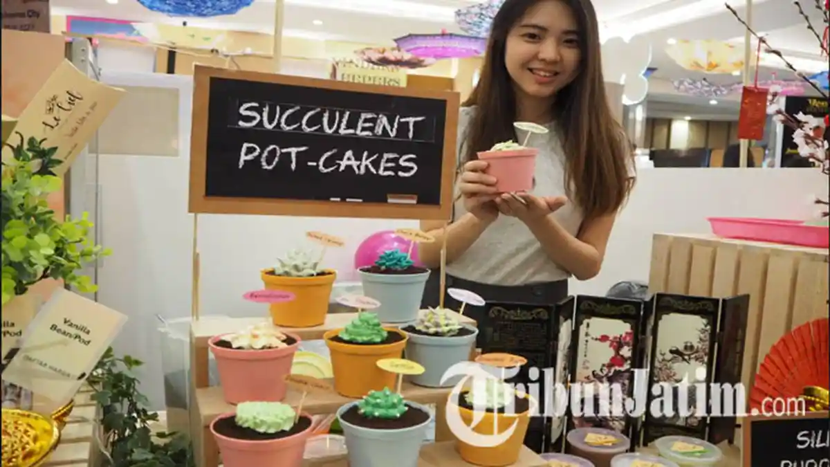 Tanaman Sukulen ala La Ciel Patisserie Ini Bisa Dimakan,Ada Varian Rasa Choco Baileys dan Say Cheese