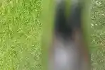 Mayat Pria Ditemukan di Area Lapangan Terbang MAF Sentani, Polisi Selidiki Riwayat Penyakit Korban