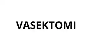 Apa-itu-Vasektomi-Heboh-Wacana-Dedi-Mulyadi-yang-Timbulkan-Pro-dan-Kontra.jpg