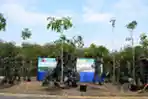 Penanaman Pohon Tabebuya Serentak di Koarmada II