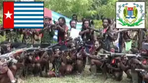 20241120-Sejarah-KKB-Papua-lambang-dan-jenis-gerakan.jpg