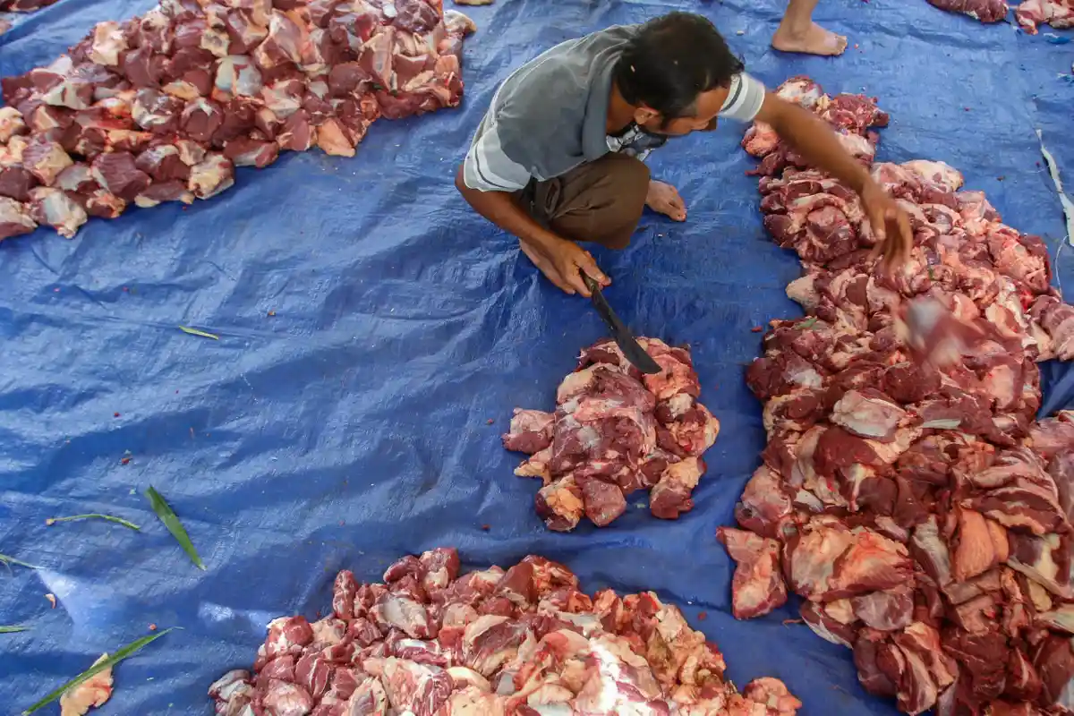 10 Makanan Alternatif Berprotein Tinggi untuk yang Tidak Makan Daging Kambing dan Sapi Kurban