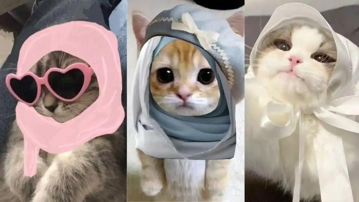 90 Link PP Kucing Ramadhan 2024 Pakai Peci dan Berhijab yang Menggemaskan, Ganti PP Sebelum Lebaran