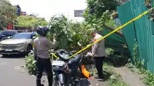Terungkap-Identitas-Ojol-Tewas-Tertimpa-Pohon-Roboh-di-Jalan-A-Rivai-Palembang-Warga-Talang-Kelapa.jpg