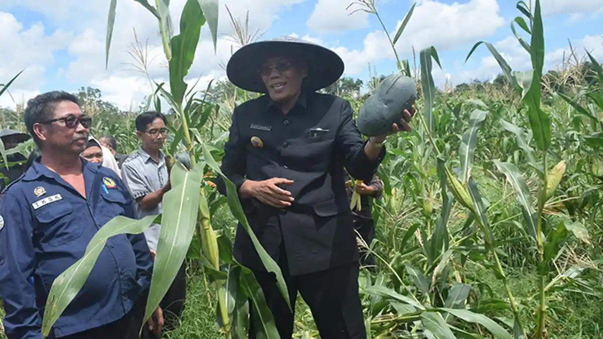 Panen Raya Kebun KUBE, Jarot: Jangan Hanya Jual Perenggi Tapi Jual Dodol Perenggi