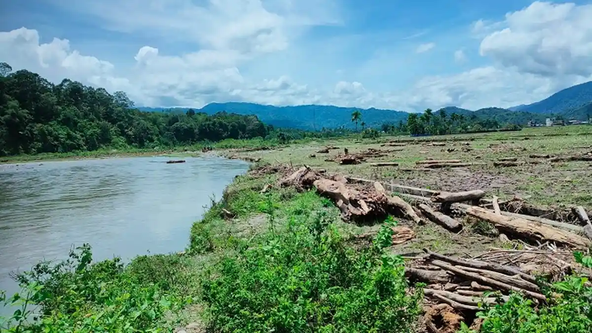 Erosi Gerus Ratusan Hektare Sawah 