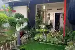13 Inspirasi Tanaman untuk Taman Rumah Minimalis di Solo