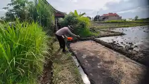 Bhabinkamtibmas-Desa-Temesi-Gianyar-Aipda-Ngakan-Gede-Sukrayana.jpg