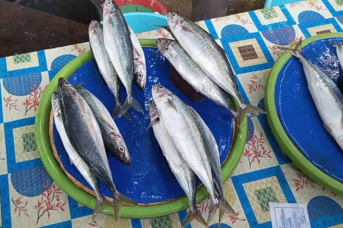 Simak! Segini Harga Berbagai Jenis Ikan di Pasar Binaiya Masohi