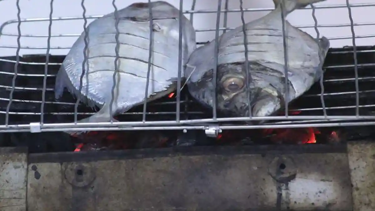 Simak Tips Membakar Ikan dengan Benar, Tidak Hancur dan Menempel Pada Alat Pemanggang