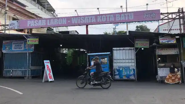 Tribun
