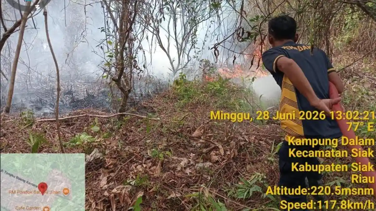 Karhutla Dekat Permukiman Kelurahan Kampung Rempak, Warga Panik Lihat Api Cepat Menjalar - Tribunpekanbaru.com