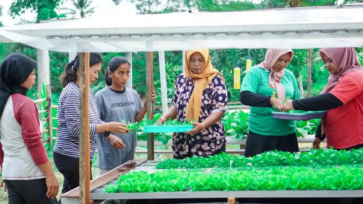Warga Sekitar IKN Nusantara Ikuti Pelatihan Bercocok Tanam dengan Metode Hidroponik 