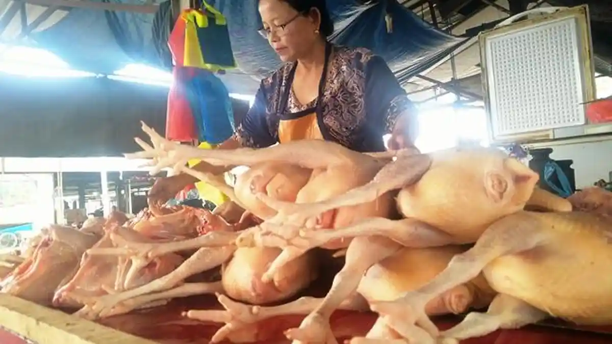 Harga Ayam Potong Naik Rp 3 Ribu, Mendag Zulkifli Hasan Blusukan di Pasar Kota Semarang