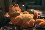 garfield.jpg