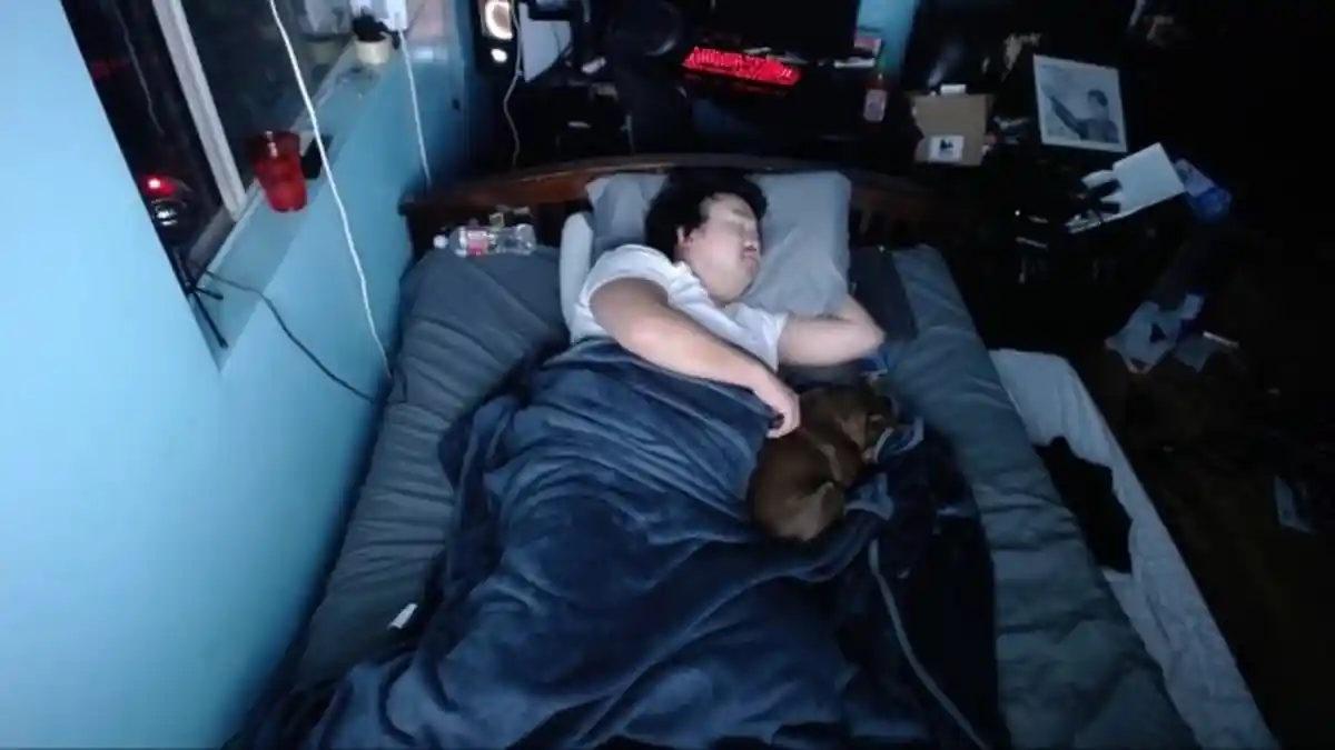 Apa Itu Sleep Stream? Hanya dengan Tidur 7 Jam, Eks Driver Ojol Raup Rp 230 Juta