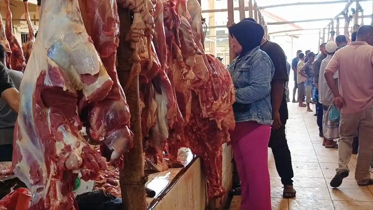 1.455 Sapi Disiapkan untuk Meugang Korban Banjir, Aceh Utara Terbanyak