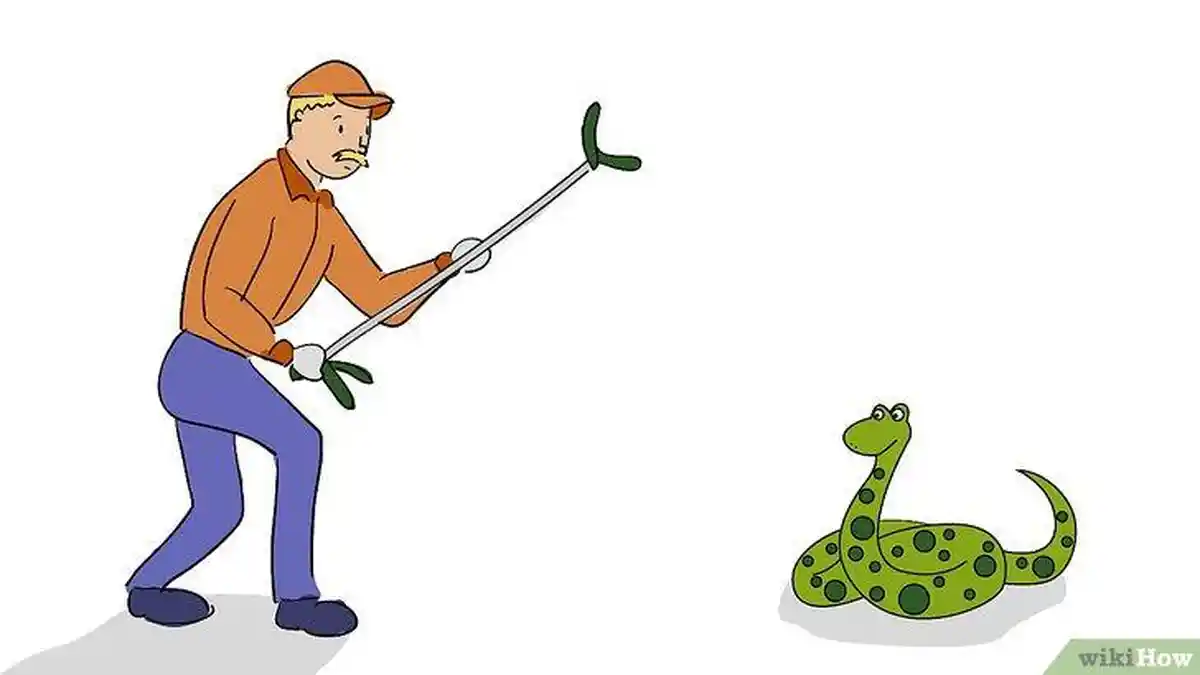 7 Cara Mudah Mengusir Ular Secara Alami, Bisa Pakai Serai dan Bawang Putih