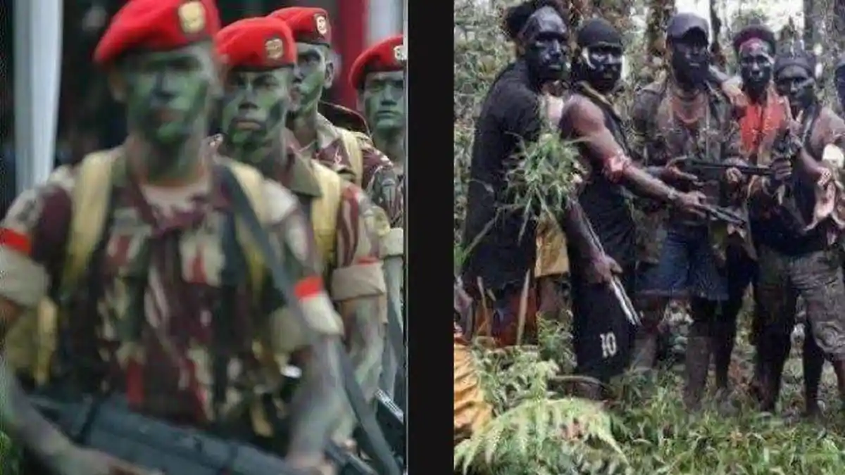 KONDISI TERKINI PAPUA, Kopassus Turun, Dua Anggota KKB di Puncak Papua Tewas
