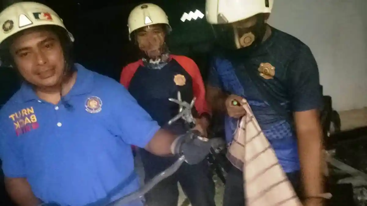 Ular Kerap Masuk Permukiman Bintan, Warga Kaget Temukan Kobra di Depan Rumah